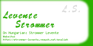 levente strommer business card